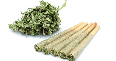 There are four pre-rolled cannabis joints neatly stacked with quality cannabis buds behind them. They are all sitting on a white, photoshoot table.